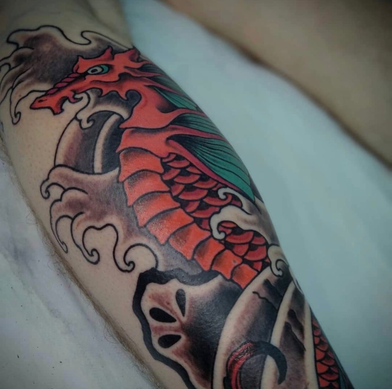 Морской конек 