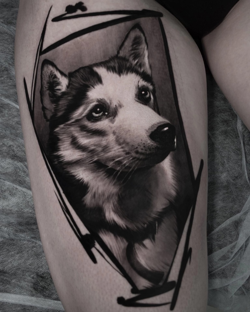 Собака хаски