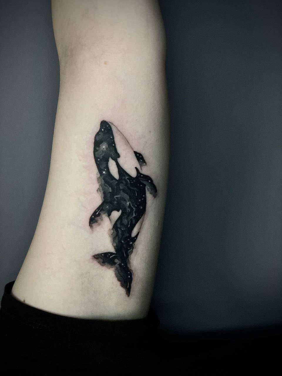   Касатка в акварельном стиле 