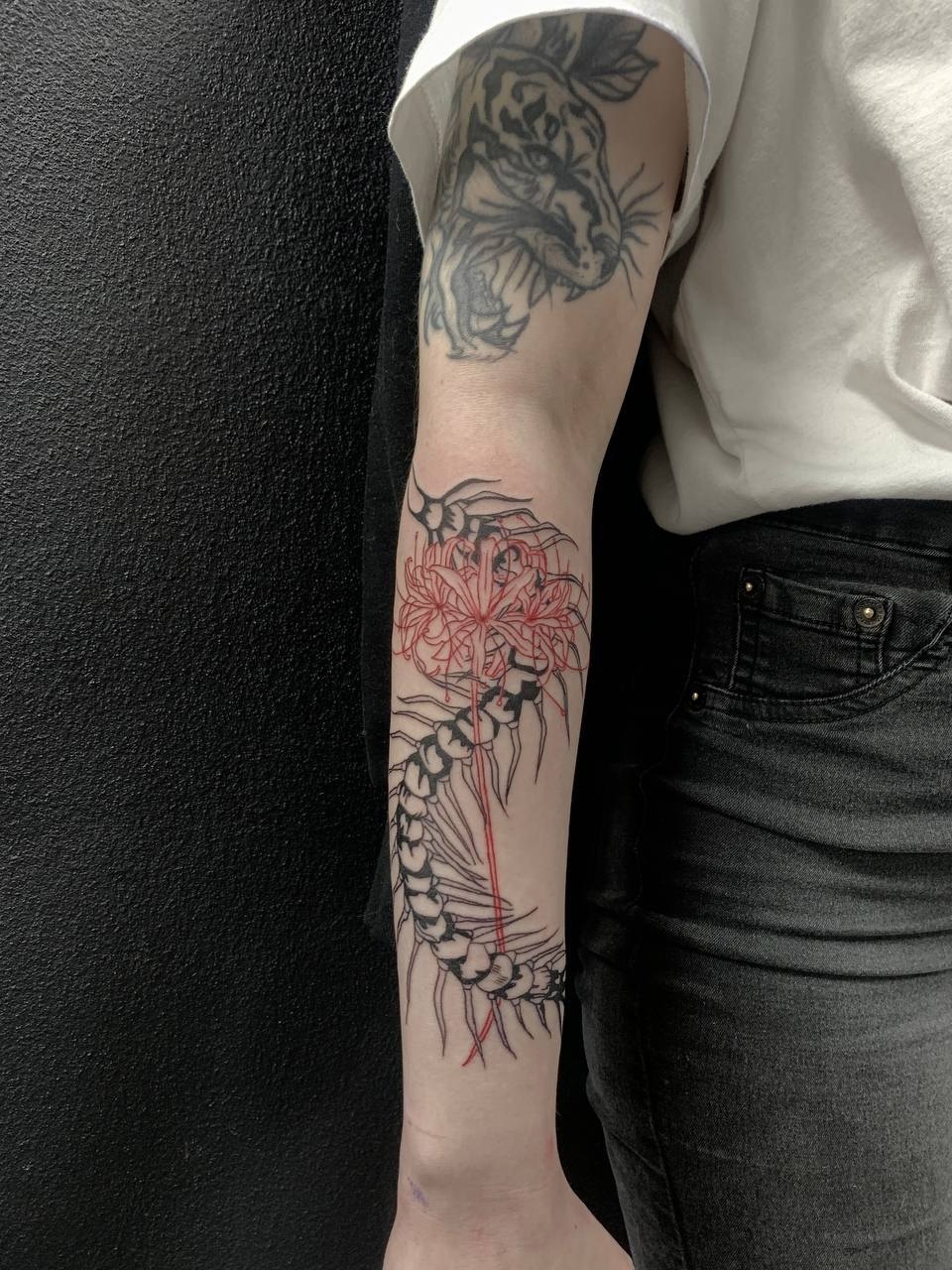 Сколопендра