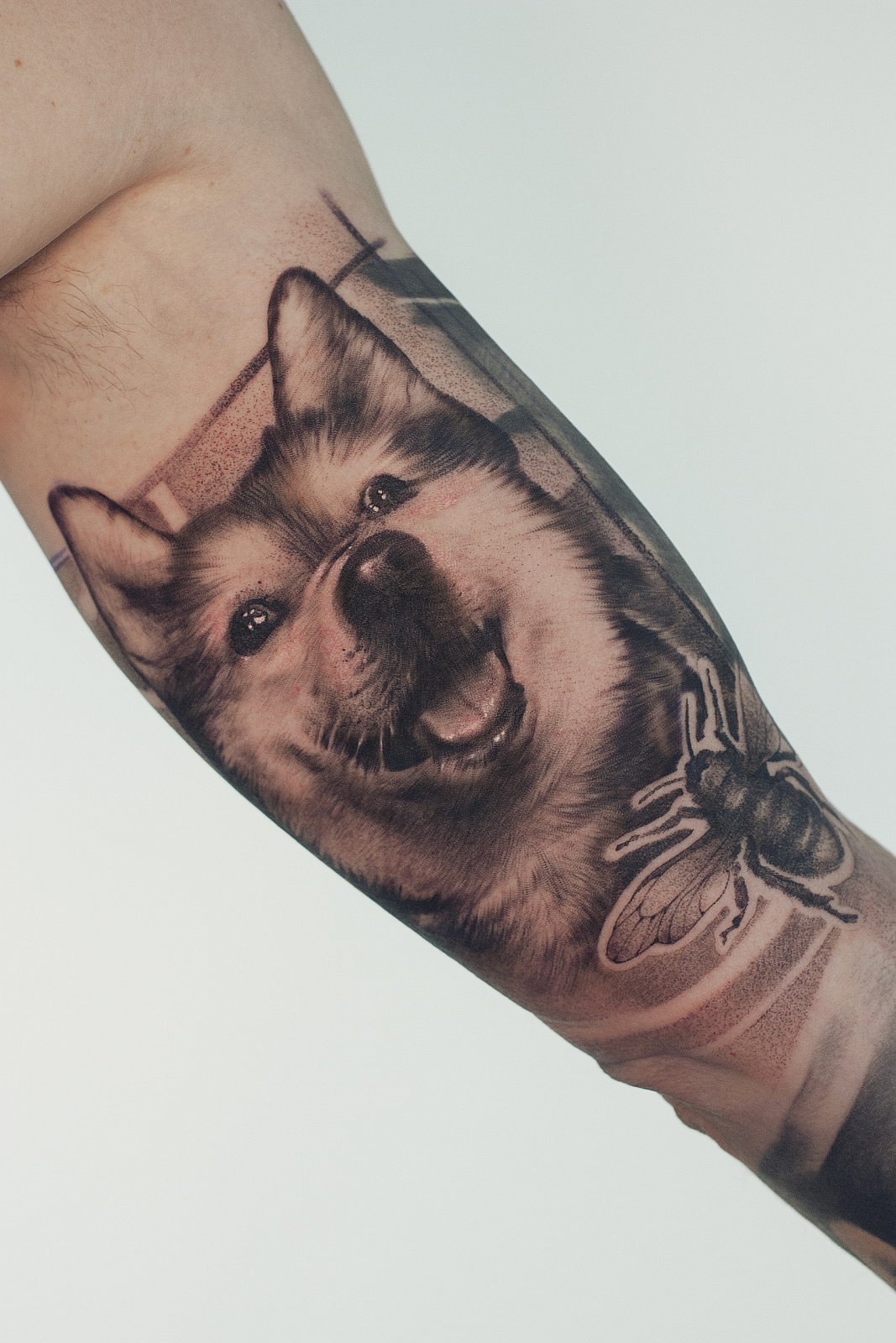 Реалистичное тату питомца хаски по фото 