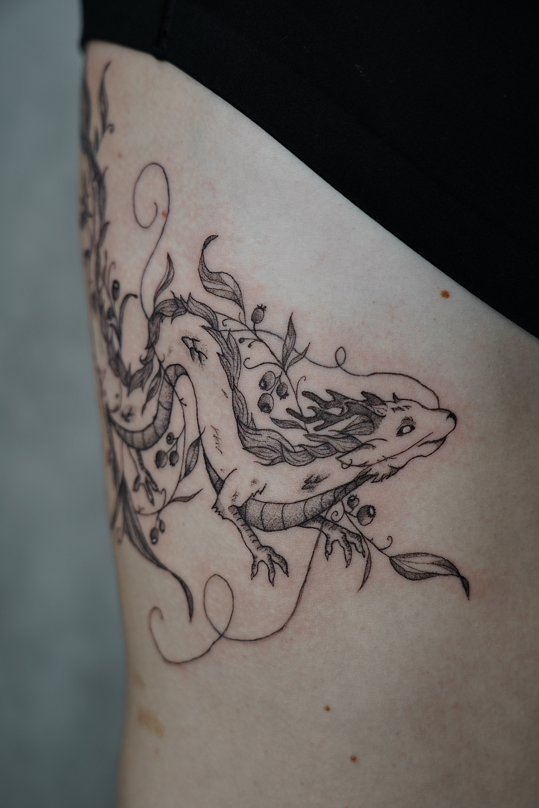 Дракон Хаку в графике от Анастасии Кульченко 